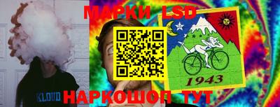 стафф Партизанск