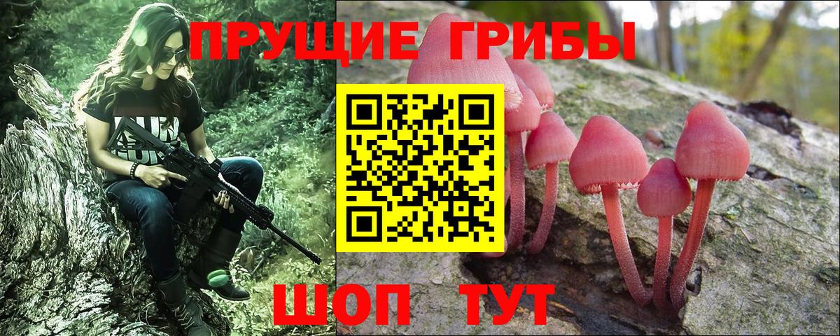 Углич  Галлюциногенные грибы Magic Shrooms  Вход с VPN  Псилоцибиновые грибы MAGIC MUSHROOMS 