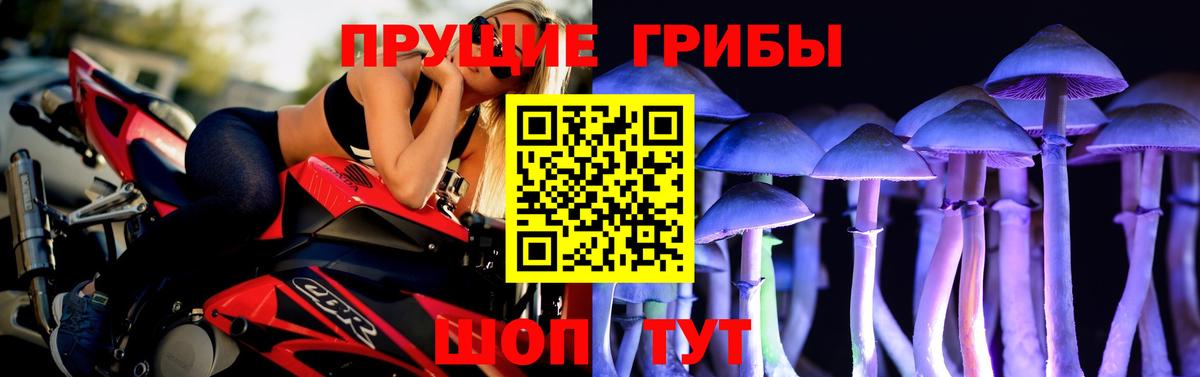 Псилоцибиновые грибы GOLDEN TEACHER Углич